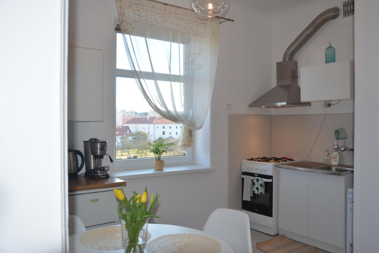 Wanner Studio/Old Town/Center Krakow Bagian luar foto